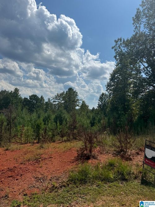 43-Lot 43 Courtney Lane, WEDOWEE, AL, 36278 | Card Image