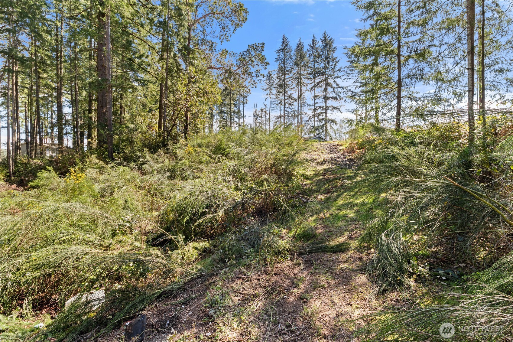 Land in Lakebay 3