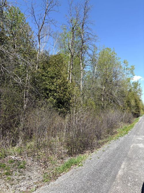 11865 (PtLt23) Armstrong Rd, Winchester, ON, K0C2K0 | Card Image