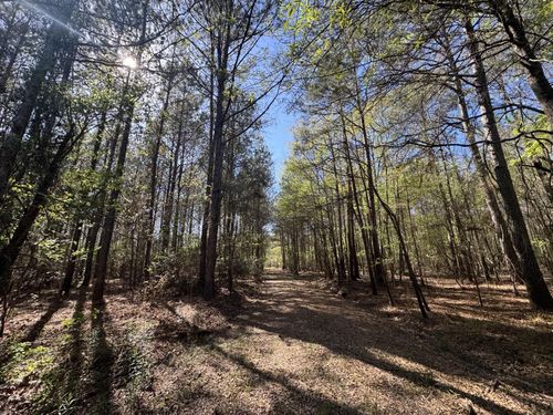 TBD County Road 3930, Colmesneil, TX, 75938 | Card Image