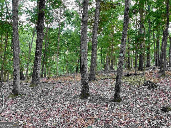0 Peach Orchard Dr, Home with 0 bedrooms, 0 bathrooms and null parking in Alto GA | Image 34