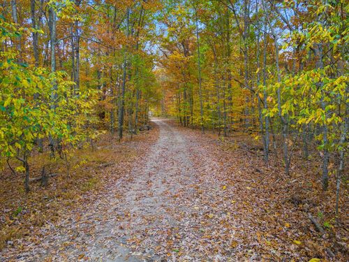 0 Wallace Rd, Fairview, TN, 37062 | Card Image