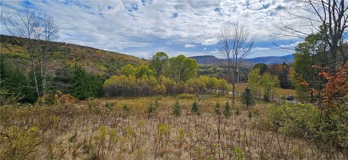 00 Shaver Hollow, Andes, NY, 13731 | Card Image