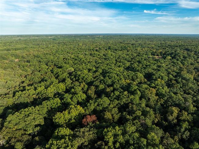 Drone / aerial view with a forest view | Image 23