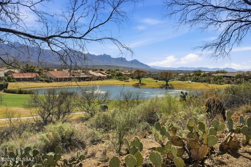 65113 E Brassie Dr, Saddlebrooke, AZ, 85739-1650 | Card Image