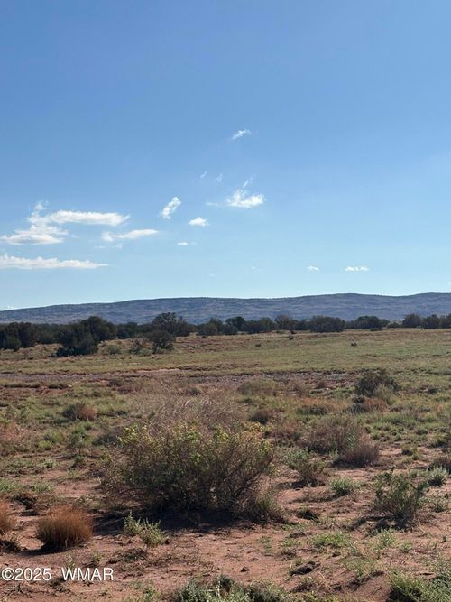 A County Rd, Concho, AZ, 85924 | Card Image