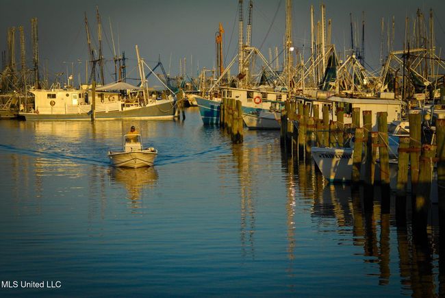 PASS CHRISTIAN HARBOR | Image 24