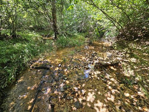 60 W James Anderson Hwy, GLADSTONE, VA, 24553 | Card Image