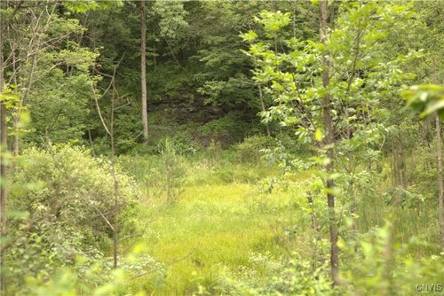 4296 Stramba Rd, Cincinnatus, NY, 13040 | Card Image