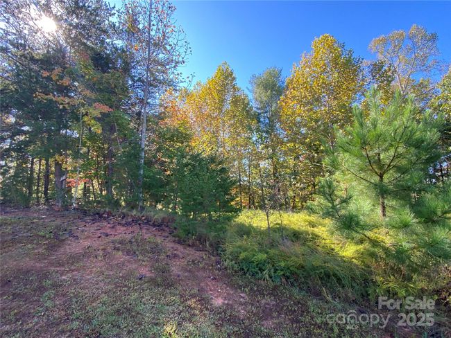 166 - 2127 Catawba Trl, Home with 0 bedrooms, 0 bathrooms and null parking in Nebo NC | Image 9