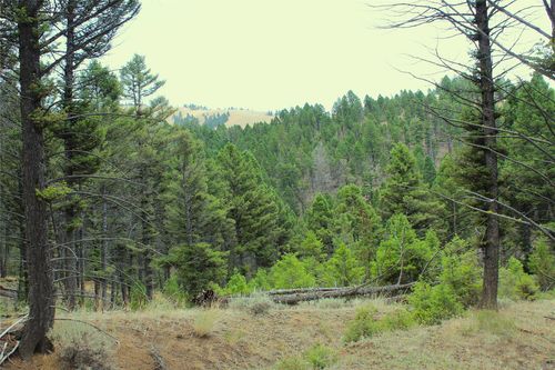 NHN Boulder Chief Rd, Basin, MT, 59631 | Card Image