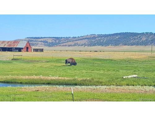3365 Ute Trce, Hartsel, CO, 80449 | Card Image
