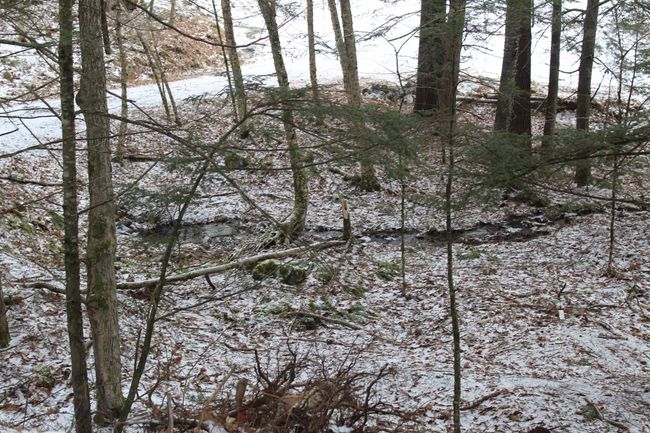 LOT-17 - 000 Wetherbee Farm Rd, Home with 0 bedrooms, 0 bathrooms and null parking in Lisbon NH | Image 23