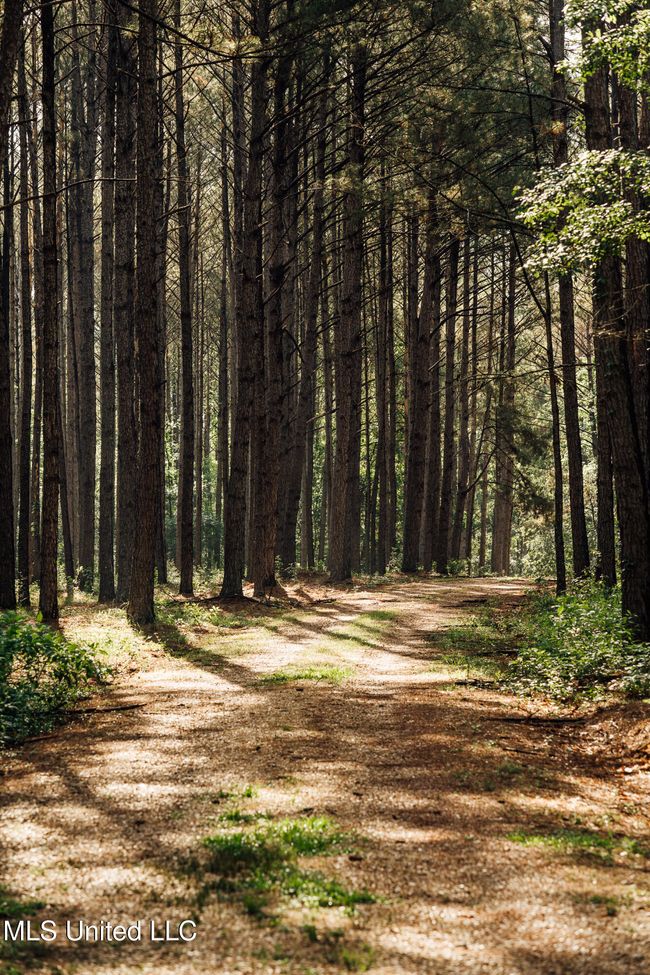 JG Puckett Cabin Pics-55 | Image 66