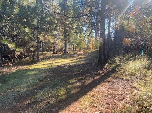16831 Garden Valley Rd, Camptonville, CA, 95922-9615 | Card Image