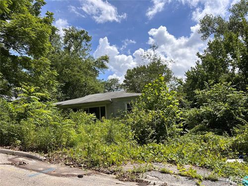 288 Habecking Drive, St Louis, MO, 63137 | Card Image