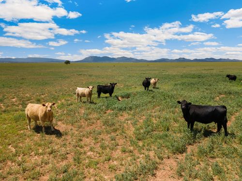 26 Boomer Rd, Stanley, NM, 87056 | Card Image