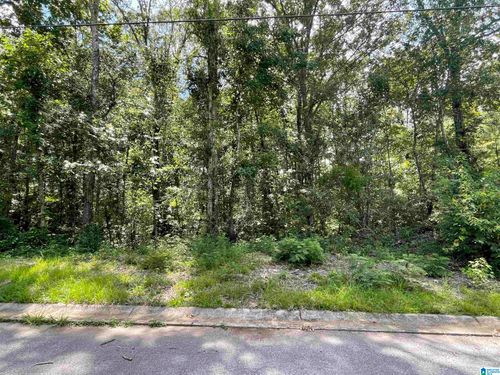 44-0 Wilson Glen Dr, WILSONVILLE, AL, 35186 | Card Image