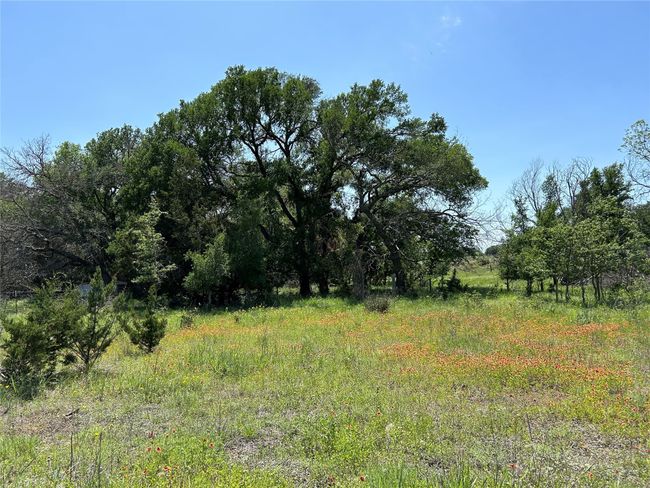 341 Fm 574 W, House other with 5 bedrooms, 3 bathrooms and null parking in Goldthwaite TX | Image 6