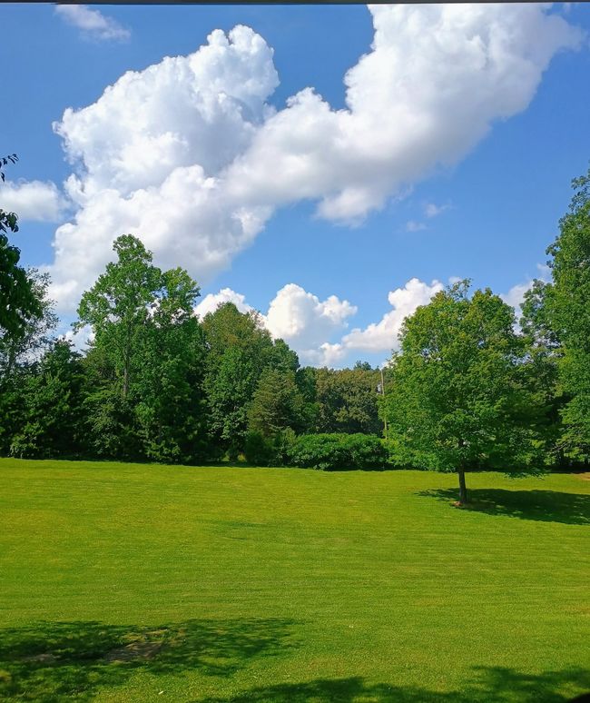 526 Margaret Cir, House other with 4 bedrooms, 3 bathrooms and 1 parking in Mc Minnville TN | Image 8