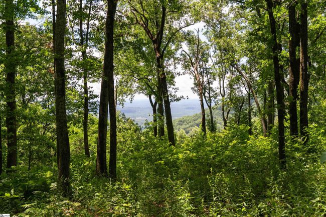22 Raven Rd, Home with 0 bedrooms, 0 bathrooms and null parking in Landrum SC | Image 6