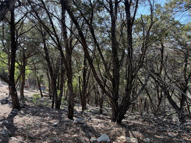 View of landscape | Image 9