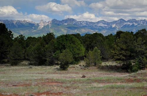 TBD Ponderosa Dr, Ridgway, CO, 81432 | Card Image