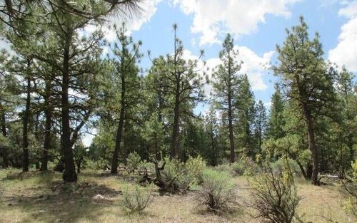 24-0 Elde St, Chiloquin, OR, 97624 | Card Image