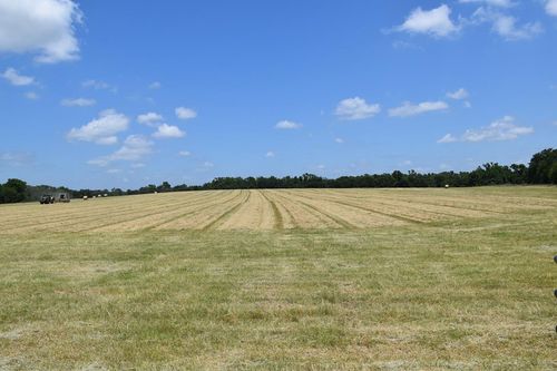 1731 Fm 860, Palestine, TX, 75803 | Card Image