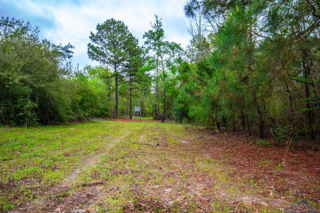 0 E Us Highway 80, Home with 0 bedrooms, 0 bathrooms and null parking in Big Sandy TX | Image 14