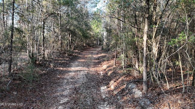 Trails 33 | Image 17