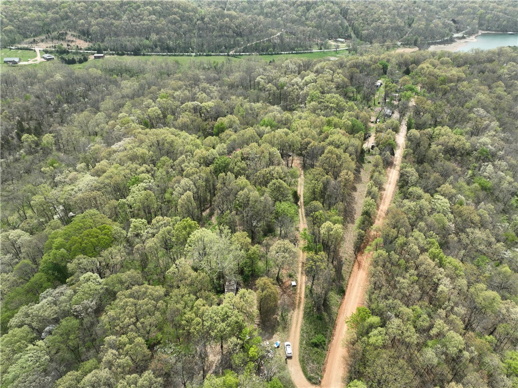 Sallie Dr, Rogers, AR 72756 #1