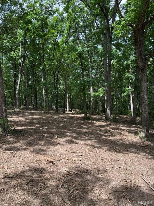 17 Hardwood Dr, Winfield, MO, 63389 | Card Image