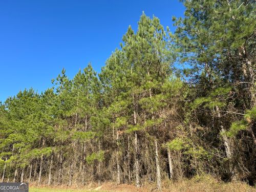 0021 Barnes Rd, Gordon, AL, 36343 | Card Image