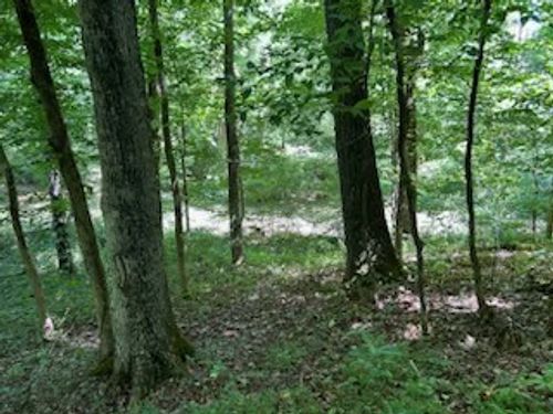 0 Highway 64, Frankewing, TN, 38459 | Card Image