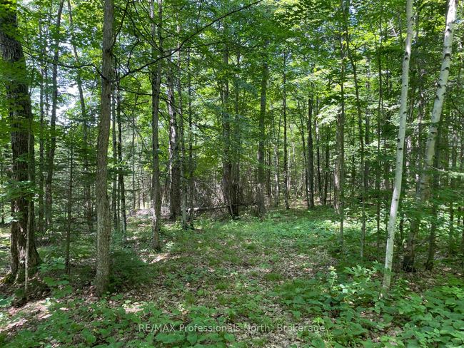 0 Glamor Lake Rd, Home with 0 bedrooms, 0 bathrooms and null parking in Gooderham ON | Image 9