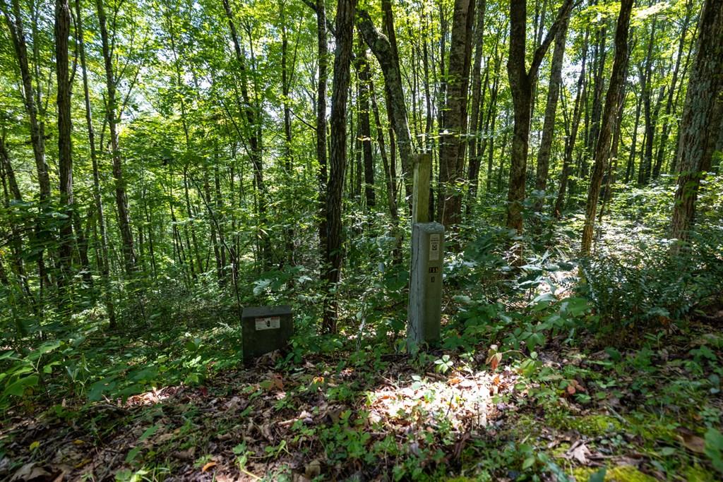 Land in Cullowhee 4