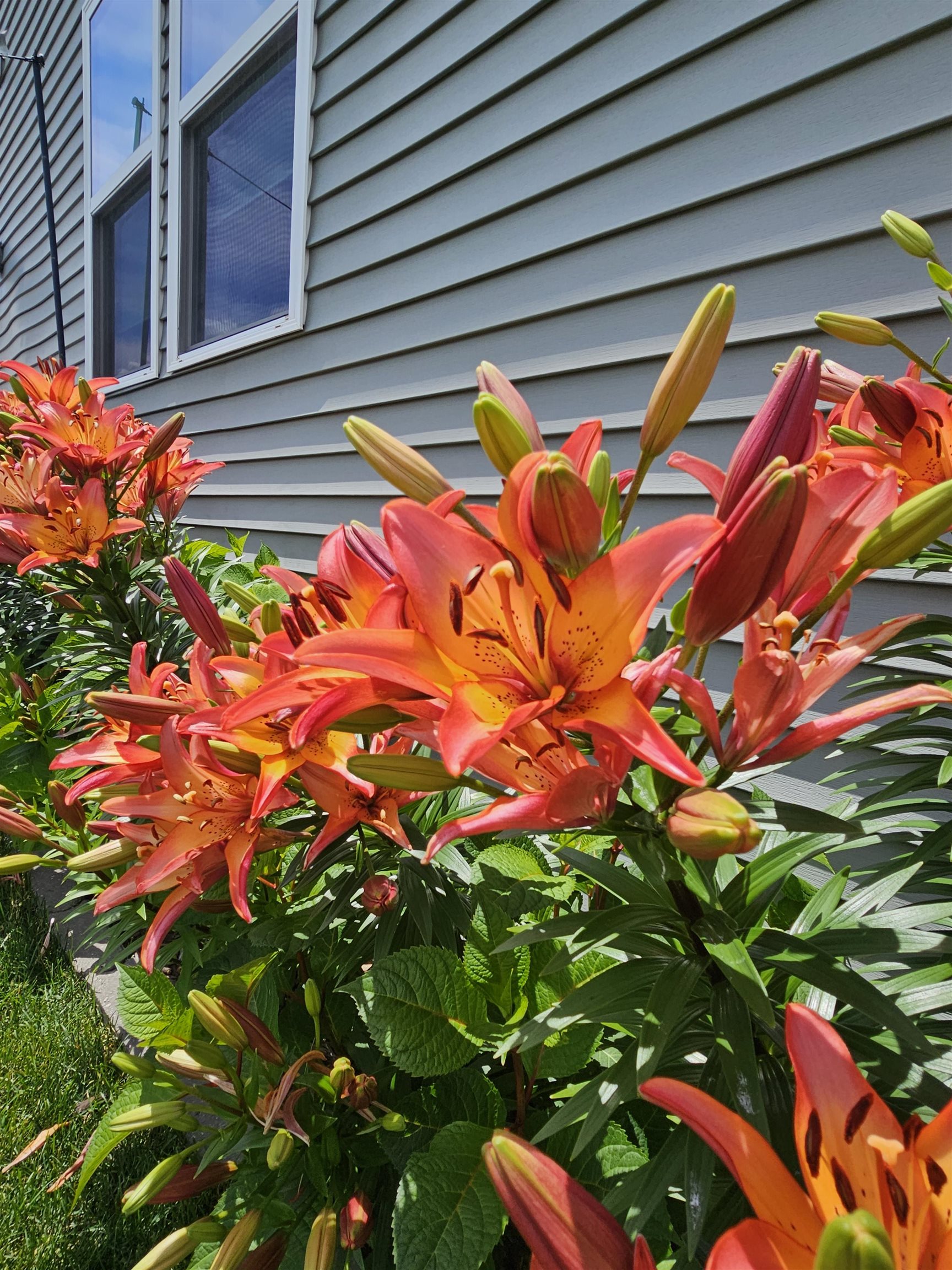 Residential in Sun Prairie 5