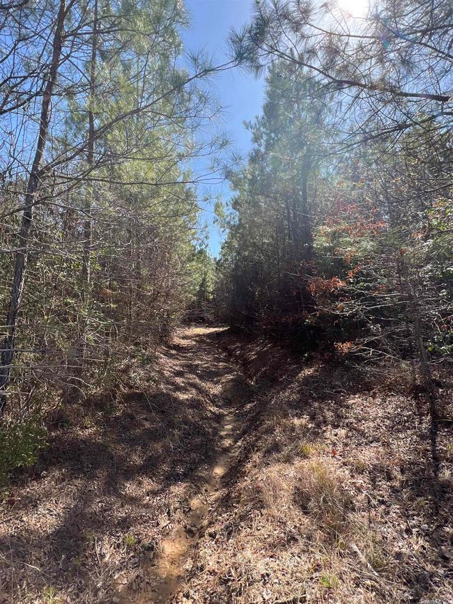 00 Nevada County 175 Road, Home with 0 bedrooms, 0 bathrooms and null parking in Rosston AR | Image 17