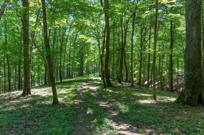 58501 Us Highway 50, Home with 0 bedrooms, 0 bathrooms and null parking in Mc Arthur OH | Image 69