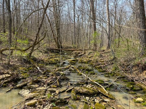 4077 Justin Scott Ln, Germantown, KY, 41044-9009 | Card Image