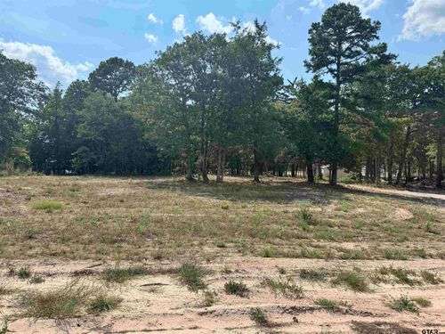 0000 Fm 115, Scroggins, TX, 75480 | Card Image