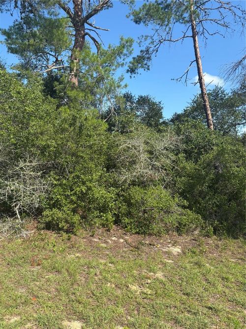 16698 Sw 21st Cir, OCALA, FL, 34473-4389 | Card Image