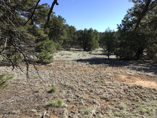 Lot 7 Red Fox Road, Home with 0 bedrooms, 0 bathrooms and null parking in Ramah NM | Image 10