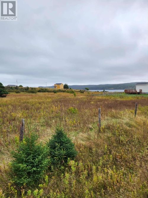 0 New Line, Renews, NL, A0A3N0 | Card Image