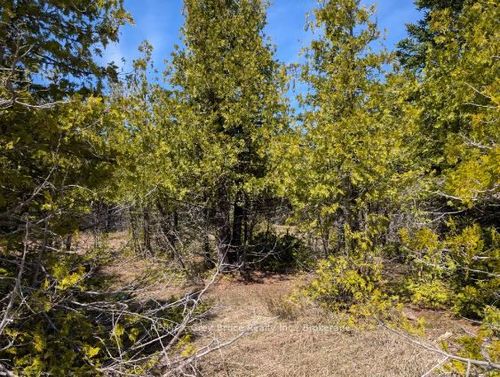 0 Sutter Road, Northern Bruce Peninsula, ON, N0H2T0 | Card Image