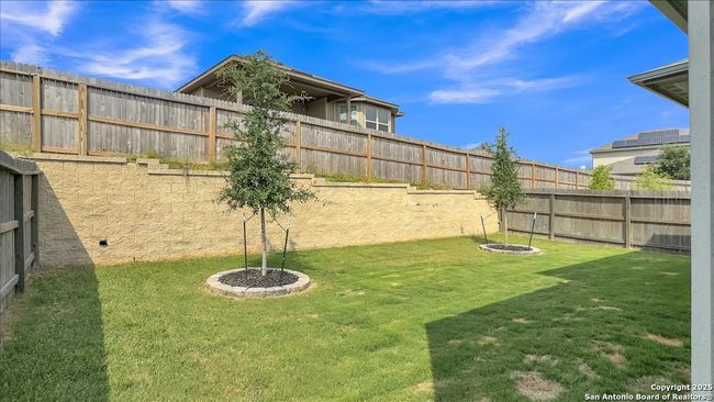 229 Colebrook Way, House other with 4 bedrooms, 4 bathrooms and null parking in Cibolo TX | Image 38