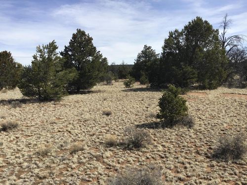 Lots 15-16 Country Lane, Ramah, NM, 87321 | Card Image