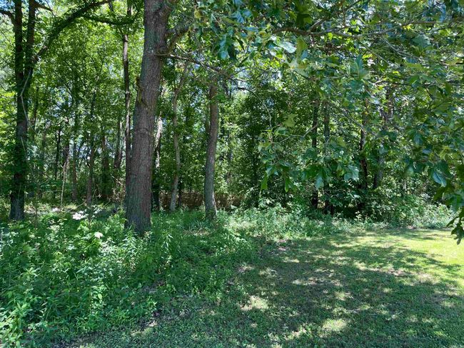 249 Greene 517 Rd, House other with 2 bedrooms, 1 bathrooms and null parking in Paragould AR | Image 30