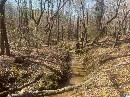 0-0 Crystal Lake Rd, WEST BLOCTON, AL, 35184 | Card Image